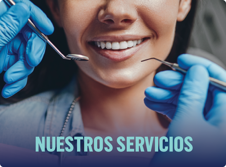 Nuestros servicios